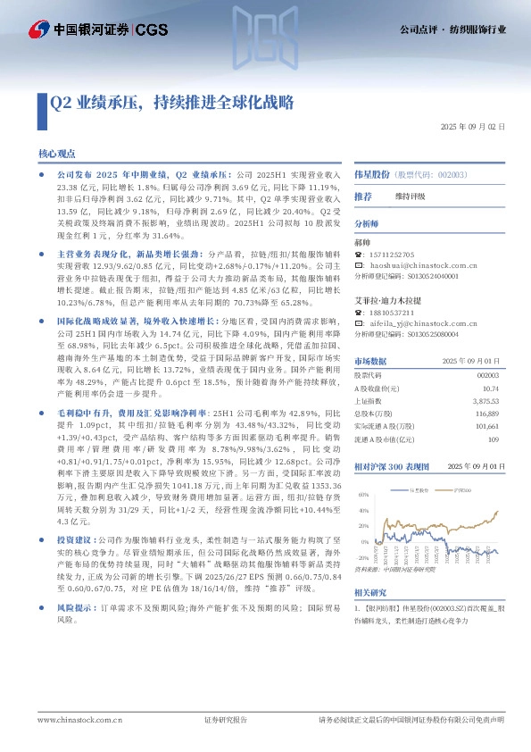 Q2业绩承压，持续推进全球化战略