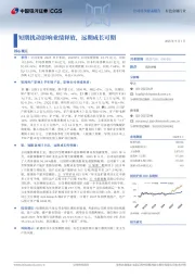 短期扰动影响业绩释放，远期成长可期