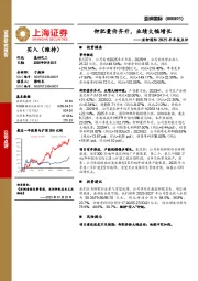 亚钾国际2025半年报点评：钾肥量价齐升，业绩大幅增长