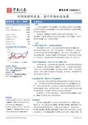 利润端持续改善，海外市场加速拓展