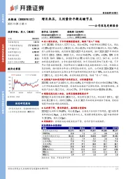 公司信息更新报告：增长承压，又到量价平衡关键节点
