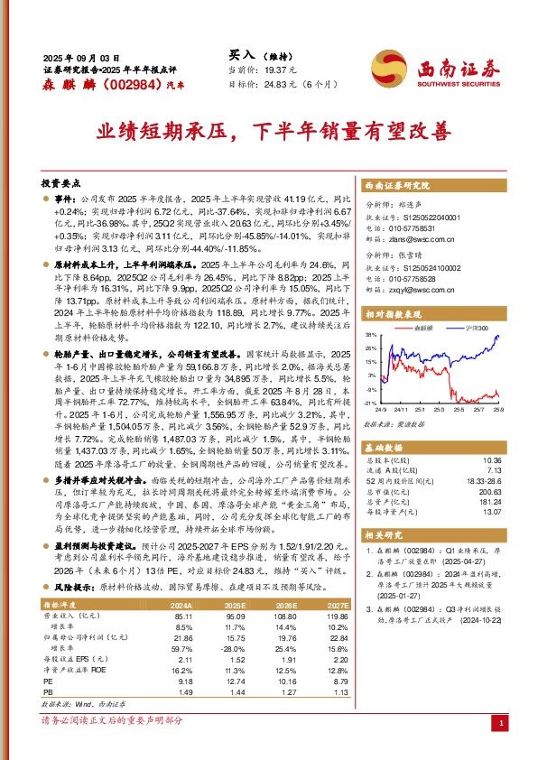 2025年半年报点评：业绩短期承压，下半年销量有望改善