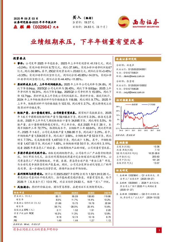 2025年半年报点评：业绩短期承压，下半年销量有望改善