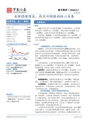 业绩稳健增长，技术升级驱动核心业务