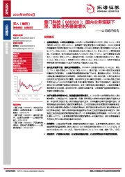 公司简评报告：国内业务短期下滑，国际业务稳健增长