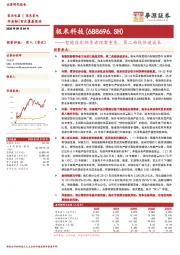 智能投影领导者涅槃重生，第二曲线快速成长