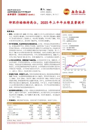 2025年半年报点评:钾肥价格维持高位,2025年上半年业绩显著提升