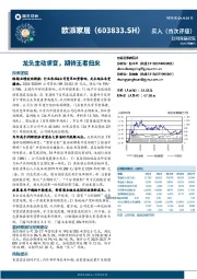 龙头主动求变,期待王者归来