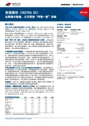 业绩增长稳健，公司贯彻“两智一新”战略