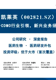 小分子CDMO行业引领，新兴业务扬帆起航