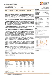 全球LFP锂电UPS龙头，充分受益AI+铅改锂