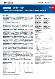 上半年净利润同比增长48%，车载及新兴市场增速提升显著