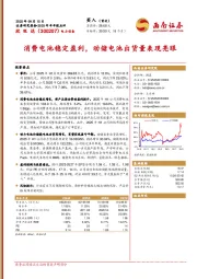 2025年半年报点评：消费电池稳定盈利，动储电池出货量表现亮眼