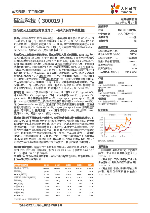 热熔胶及工业胶业务快速增长，硅碳负极材料销量提升
