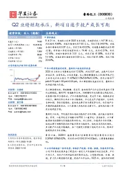 Q2业绩短期承压，新项目逐步投产成长可期