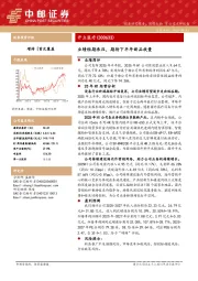 业绩短期承压，期待下半年新品放量