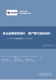 公司深度报告:自主品牌破局海外,国产替代加速成长