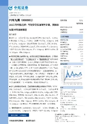 2025年中报点评：军民空管装备领军企业，积极布局低空经济新赛道