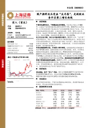 国产颜料龙头受益“反内卷”，光刻胶业务开启第二增长曲线