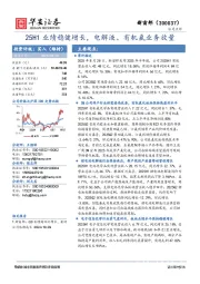 25H1业绩稳健增长，电解液、有机氟业务放量