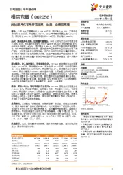 光伏差异化布局开花结果，出货、业绩双高增