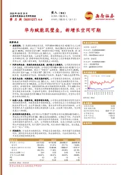 华为赋能筑壁垒,新增长空间可期