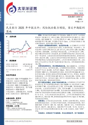民生银行2025年中报点评:风险抵补能力增强,首次中期股利落地