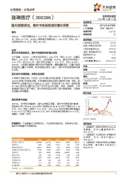 国内短期承压，海外市场呈现良好增长态势