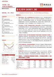 陆港联动构筑护城河，亚非双核驱动业绩成长