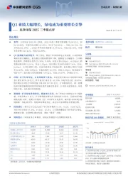 龙净环保2025三季报点评:Q3业绩大幅增长,绿电成为重要增长引擎