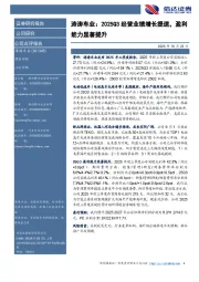 涛涛车业:2025Q3经营业绩增长提速,盈利能力显著提升