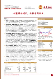 销量保持增长，价格有所承压