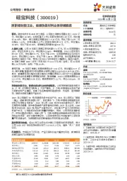 深耕密封胶主业,硅碳负极材料业务持续推进
