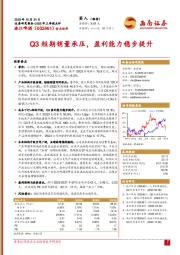 2025年三季报点评:Q3短期销量承压,盈利能力稳步提升