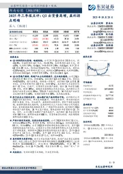 2025年三季报点评:Q3出货量高增,盈利拐点明确