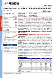 公司信息更新报告:Q3业绩高增,前瞻布局固态电池及液冷材料
