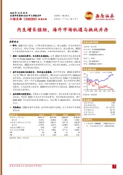 内生增长强劲,海外市场机遇与挑战并存