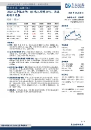 2025三季报点评:Q3收入同增35%,关注新项目进展