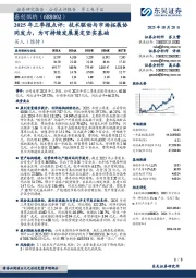 2025年三季报点评：技术驱动与市场拓展协同发力，为可持续发展奠定坚实基础