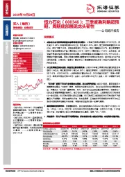 公司简评报告:三季度盈利略超预期,周期底部展现龙头韧性