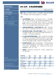 25Q3点评:自有品牌表现靓丽