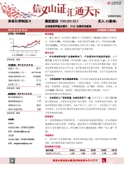全球渗透率稳步提升，25Q3业绩再创新高