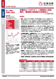 公司简评报告:三季度收入实现增长,重视新兴领域加大研发投入