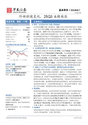 外部环境变化，25Q3业绩承压