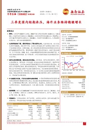 三季度国内短期承压，海外业务维持稳健增长