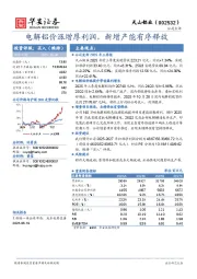 电解铝价涨增厚利润，新增产能有序释放