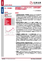 公司深度报告：全球化差异化布局的行业标杆