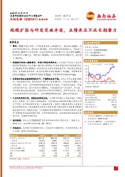 规模扩张与研发突破并进，业绩承压不改长期潜力