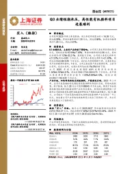 Q3业绩短期承压,高性能有机颜料项目进展顺利