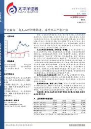 中宠股份:自主品牌持续推进,海外代工产能扩张